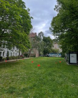 Beteiligung Pocketpark Langhansstraße läuft noch bis 13 Uhr! Und viele Anwohner*innen waren schon da, haben sich informiert und eingebracht. Vielen Dank 🤩 ❤️