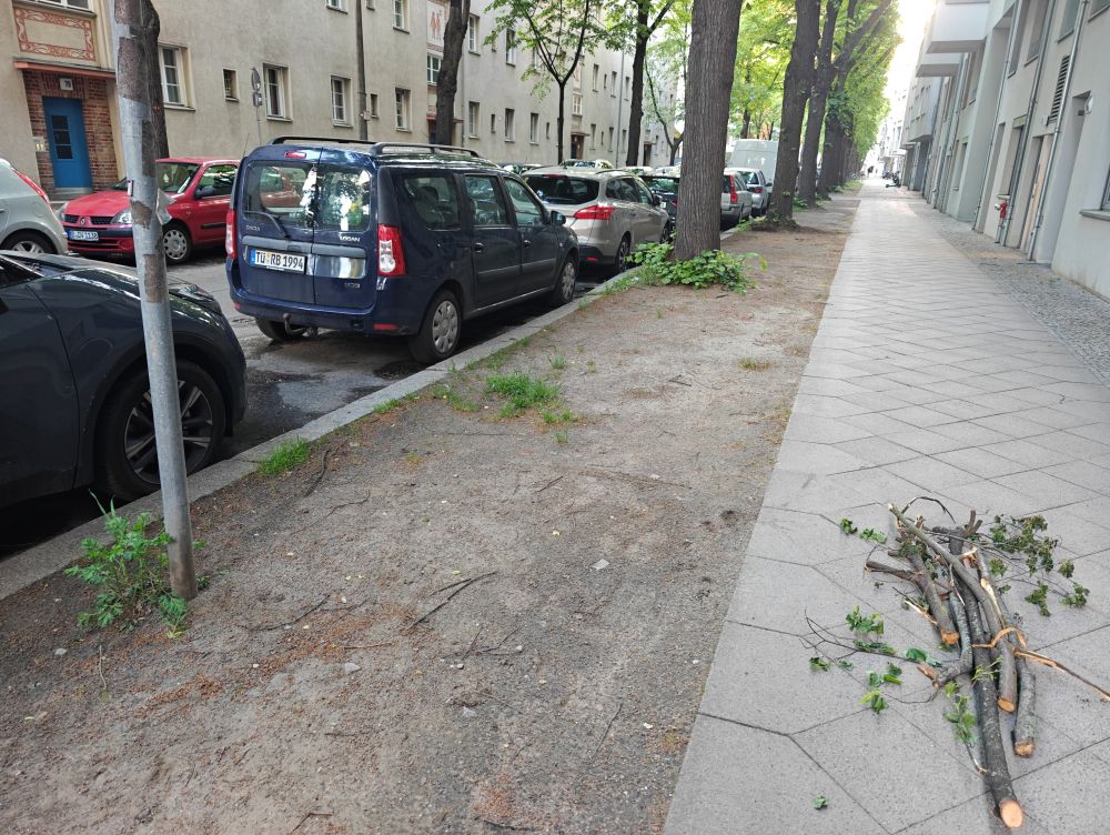 Bunt-statt-grau