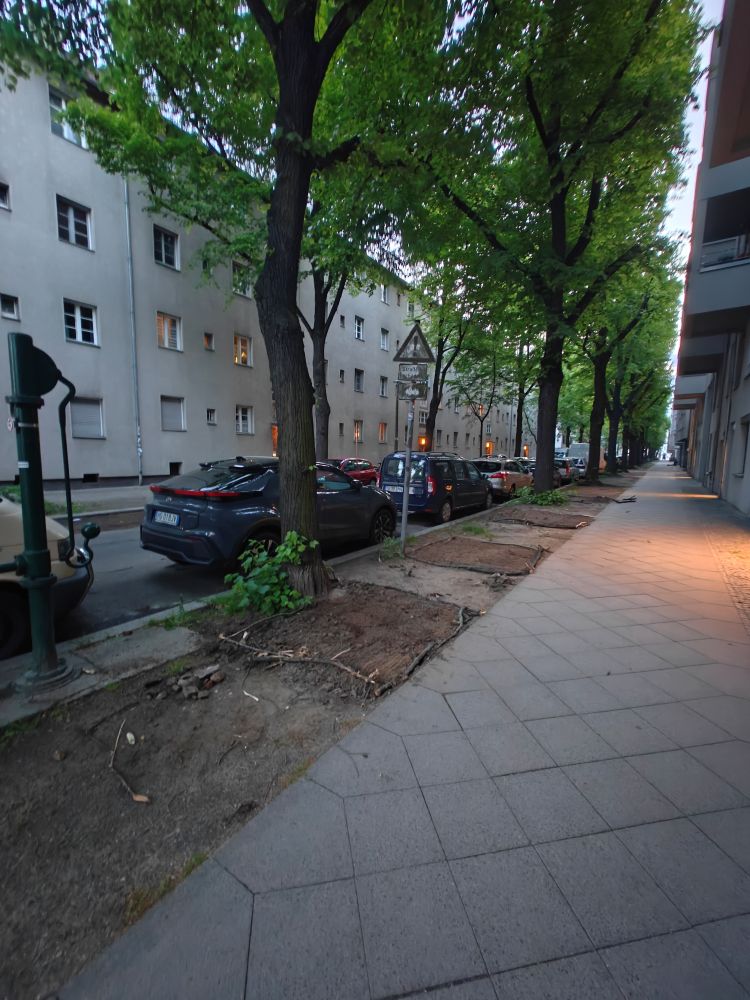 Bunt-statt-grau