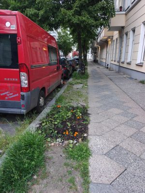Bunt-statt-grau / Randstreifen begrünen