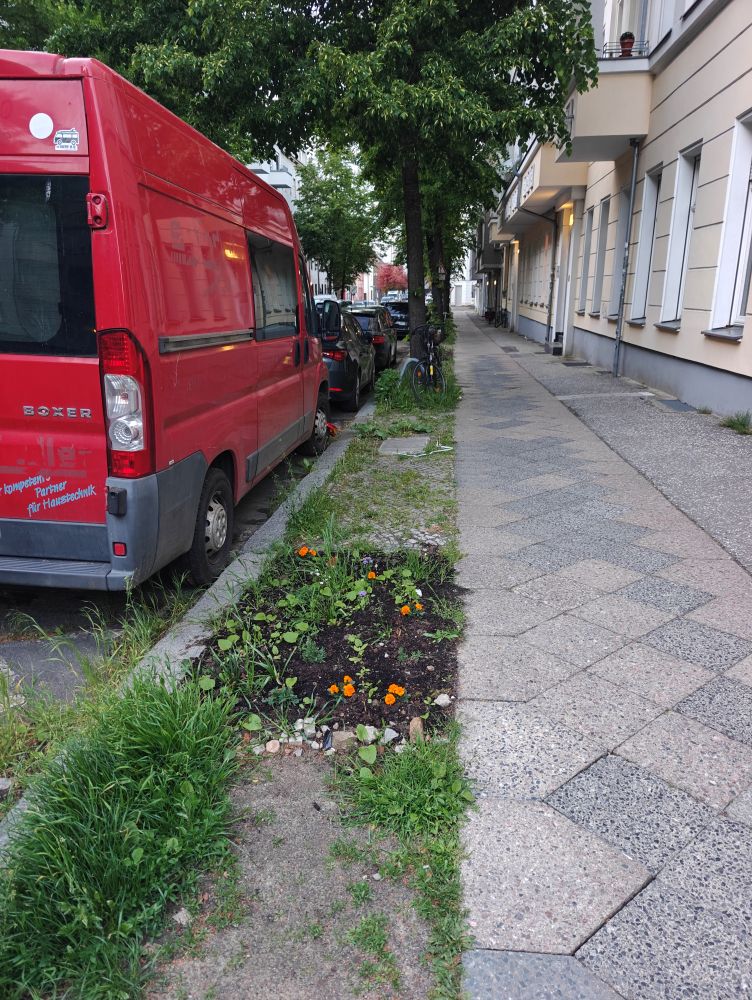 Bunt-statt-grau
