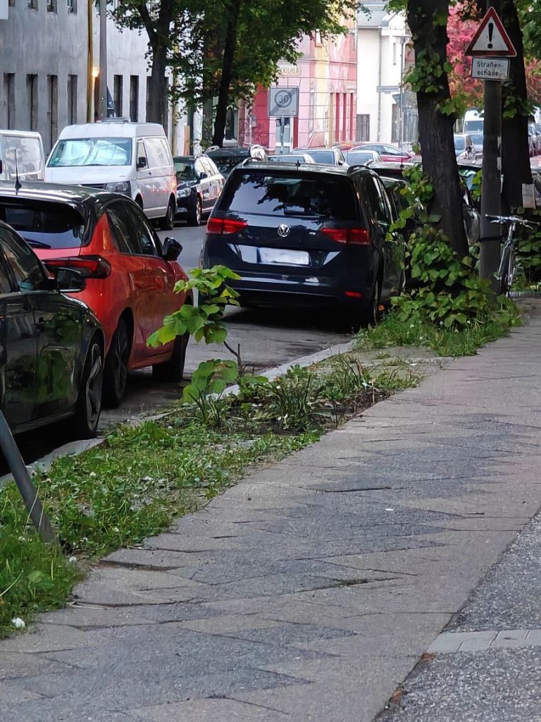 Bunt-statt-grau